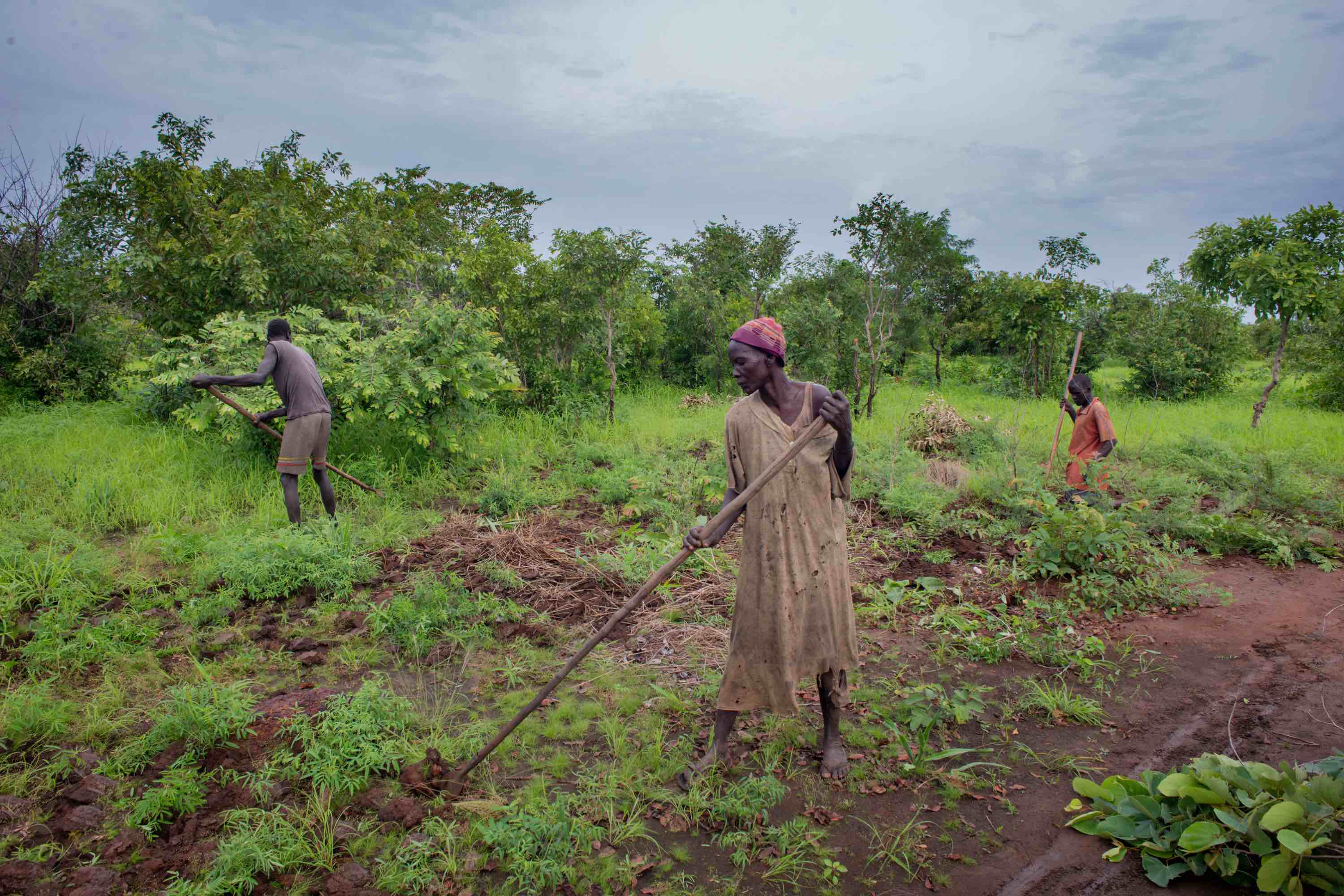 Roc Roc, South Sudan